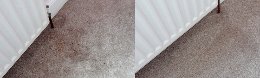 Places we Clean Carpets and Clean Upholstery