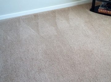 Carpet Cleaning in Langley Park