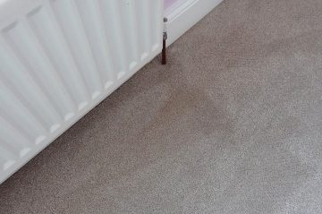 Best Carpet Cleaners in Durham