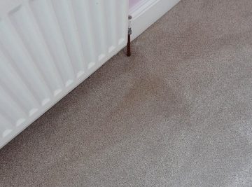 Best Carpet Cleaners in Durham