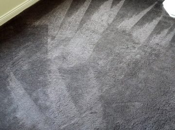 Carpet Cleaning in South Shields