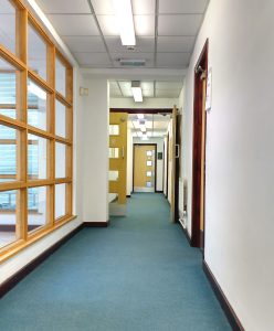 Office Carpet Cleaning