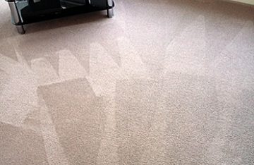 Best Carpet Cleaners Washington