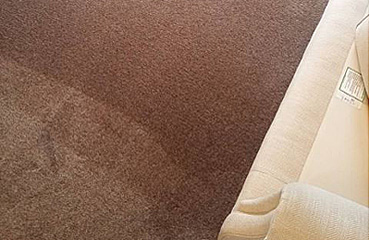 Sofa Cleaning Scariston