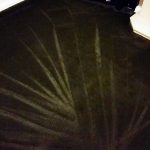 Living Room Carpet Cleaning in South Shields