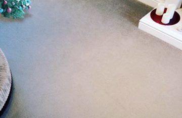Carpet Cleaning for Christmas