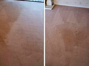 Living and Dining Room Carpet Cleaning in Newton Hall