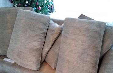 Upholstery Cleaning Christmas