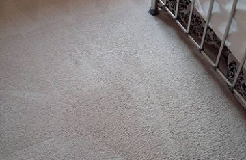 Carpet Cleaning Waterhouses