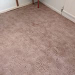 3 Bedroom House Carpet Cleaning - South Shields