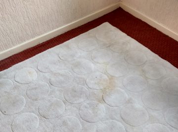 Rug Cleaning - South Shields