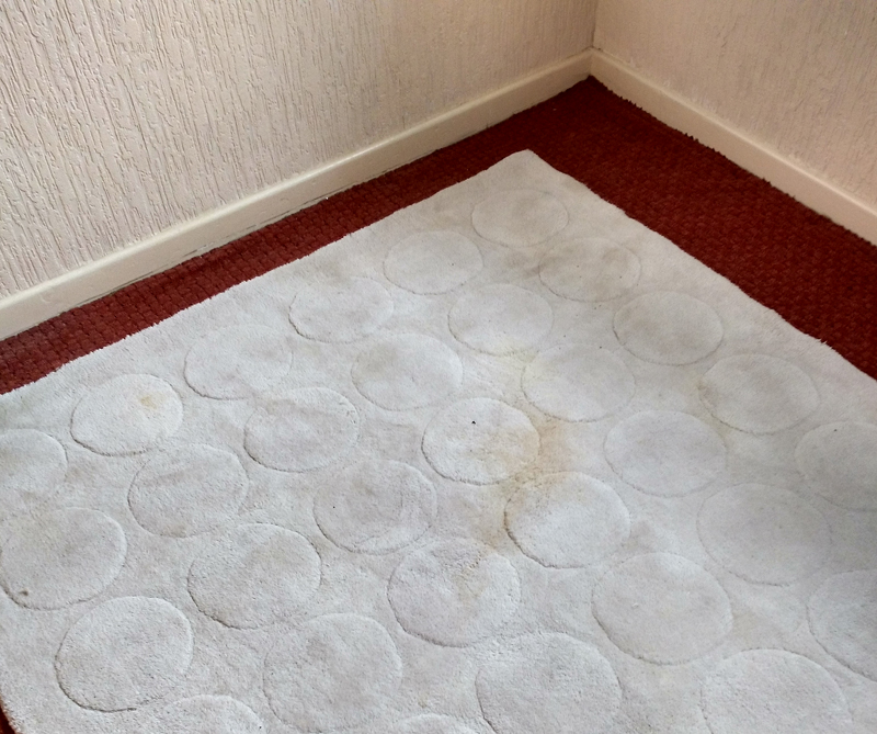 Rug Cleaning - South Shields