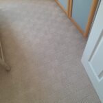 Carpet 001