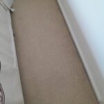 Carpet 004