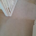 Carpet 009